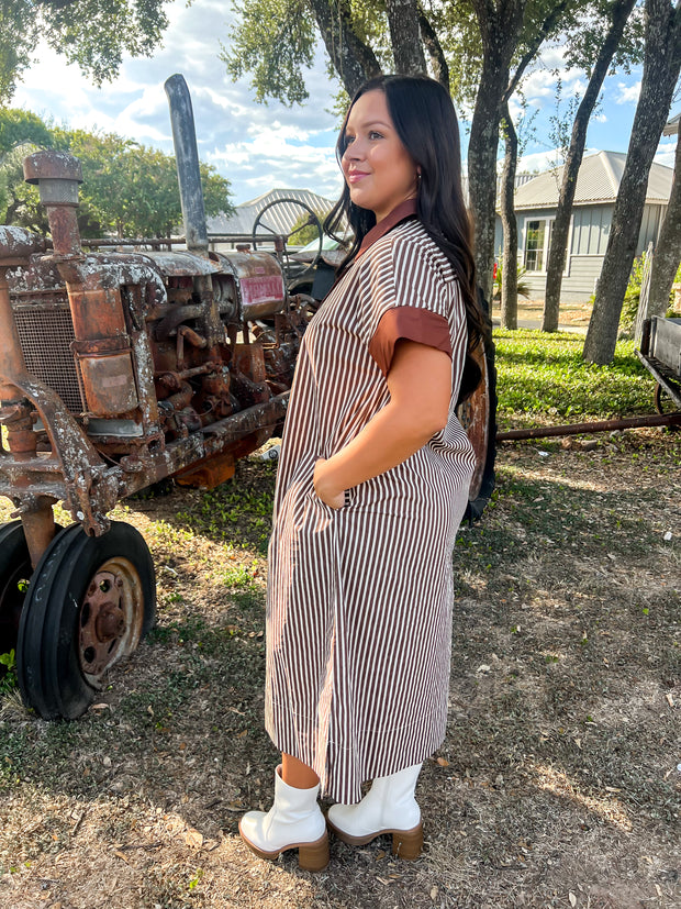 Chateau Charm Striped Dress - Brown
