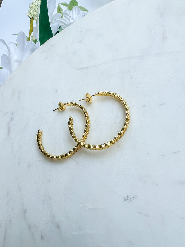 Stunner Gold Hoop Earrings - Treasure Jewels