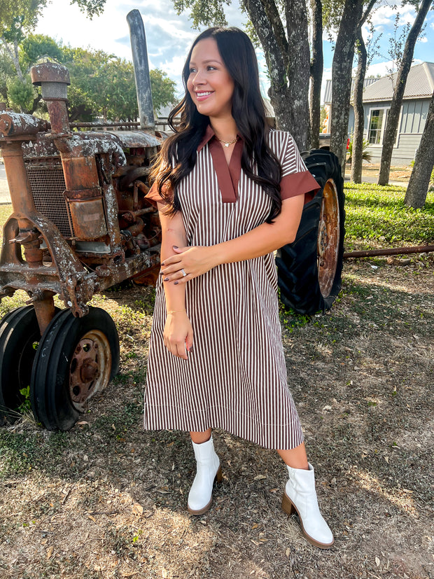 Chateau Charm Striped Dress - Brown