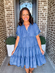 Denim Collared Dress