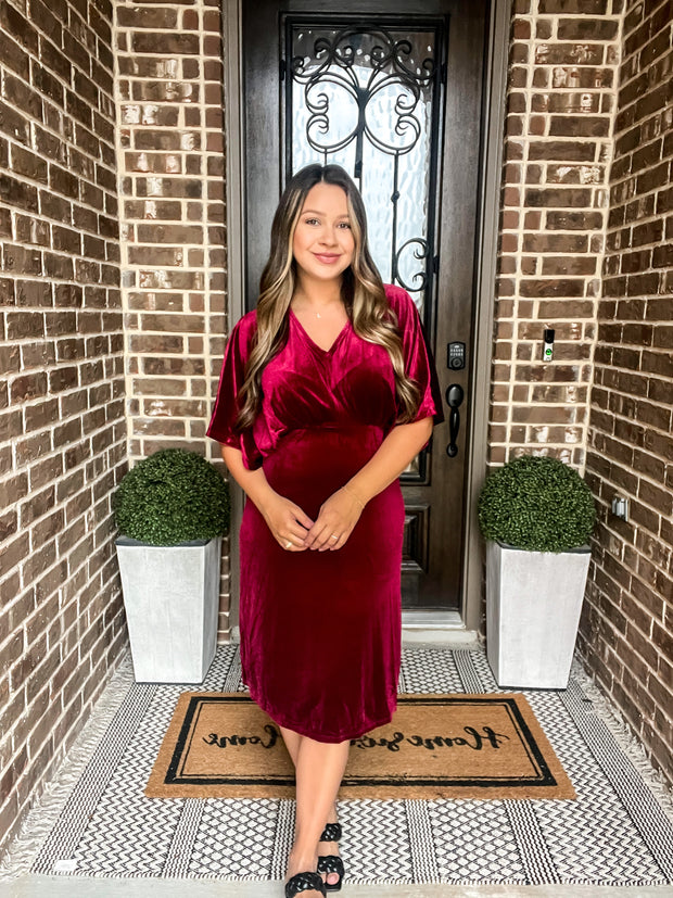 Holiday Party Velvet Wine Dress