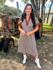 Chateau Charm Striped Dress - Brown