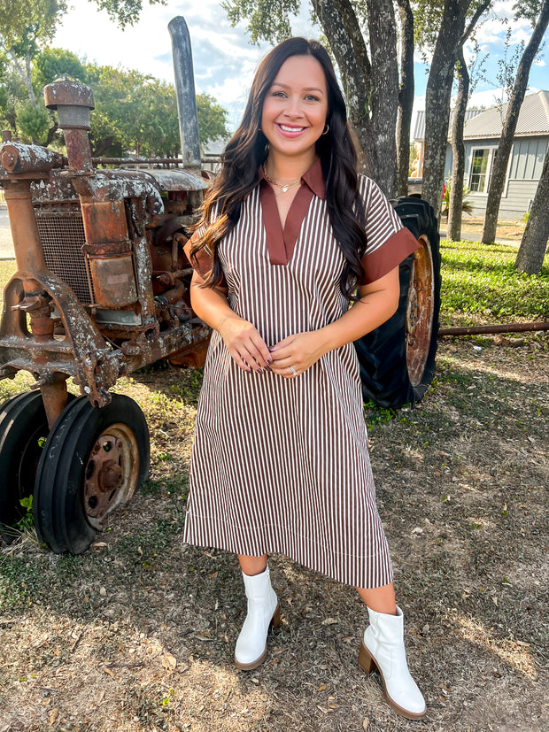 Chateau Charm Striped Dress - Brown