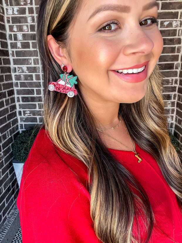 Beetle Christmas Earrings