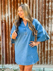 Butterfly Denim Mini Dress