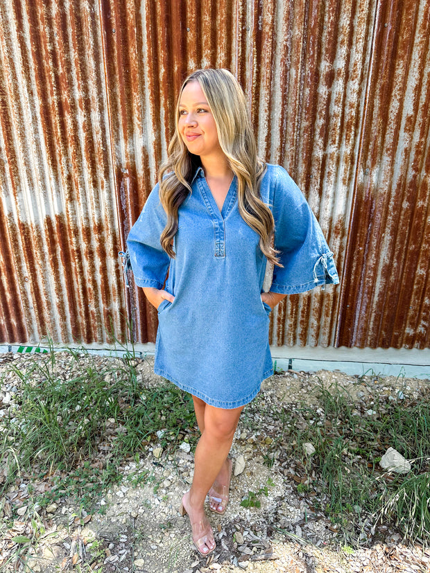 Butterfly Denim Mini Dress