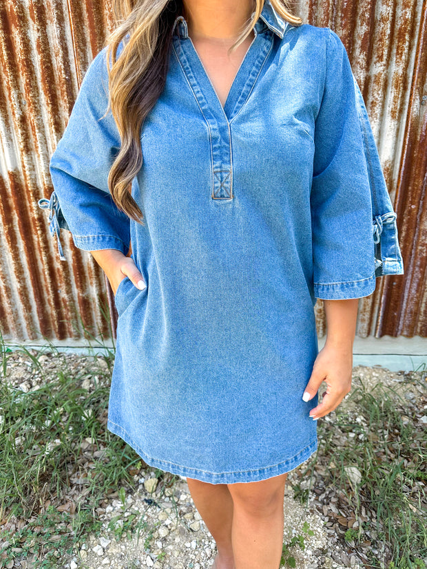 Butterfly Denim Mini Dress