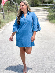 Butterfly Denim Mini Dress