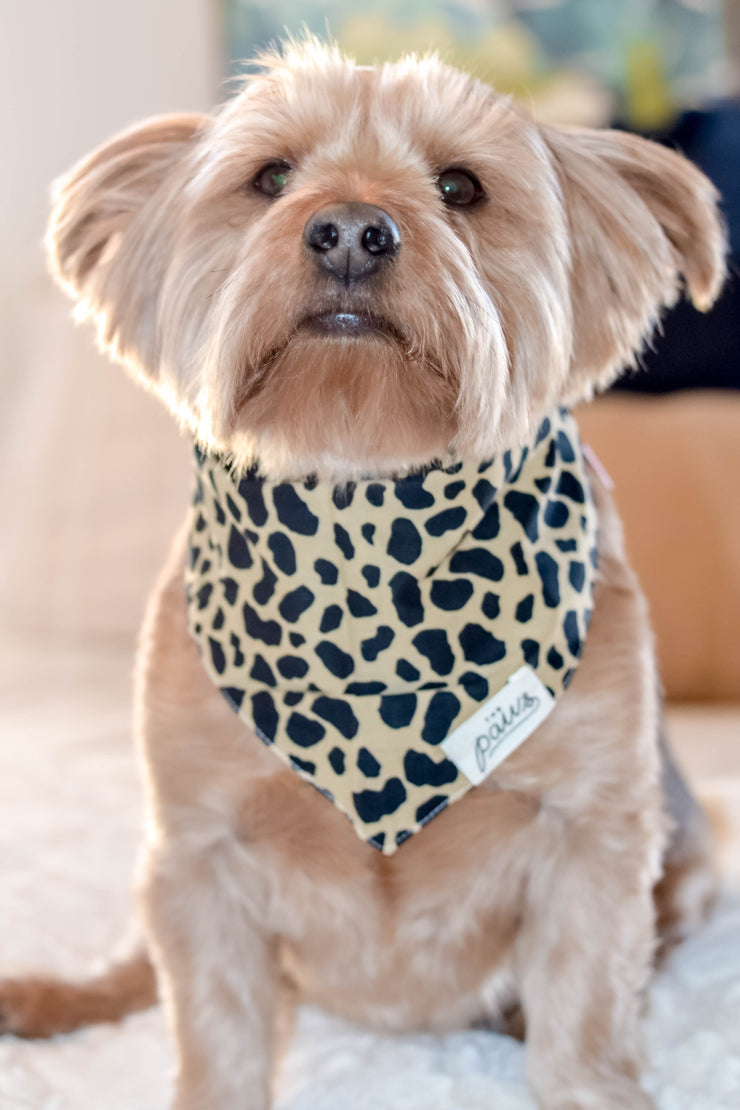 Roaring Jungle Pet Bandana