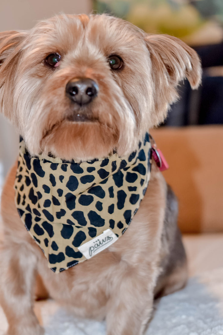 Roaring Jungle Pet Bandana