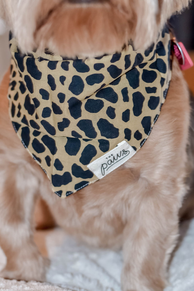 Roaring Jungle Pet Bandana